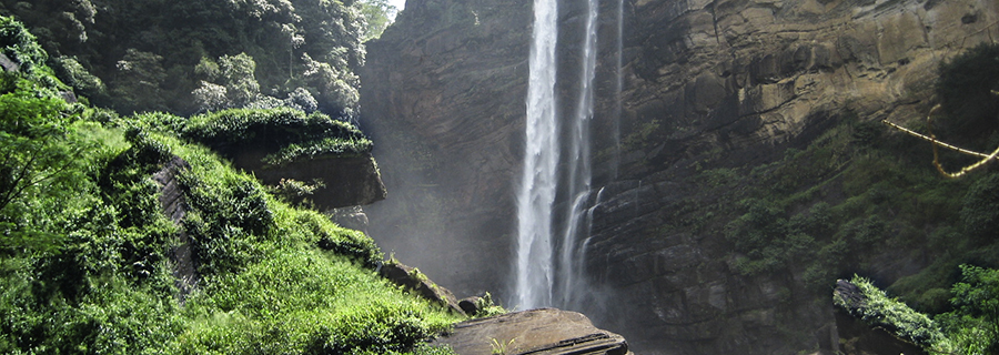 repros renewable energy